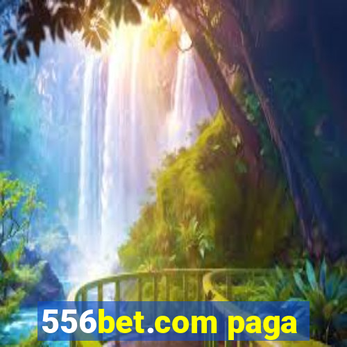 556bet.com paga